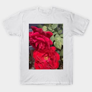 Red rose hot summer nz T-Shirt